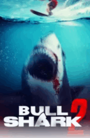 Bull Shark 2